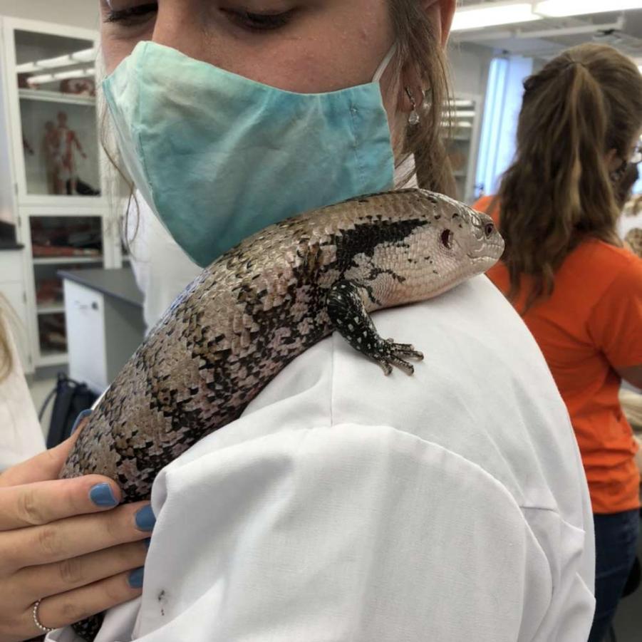 A student holding an animal