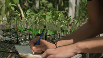 Someone writing a note with plants in the background